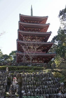 _DSC0842-2 (683x1024).jpg