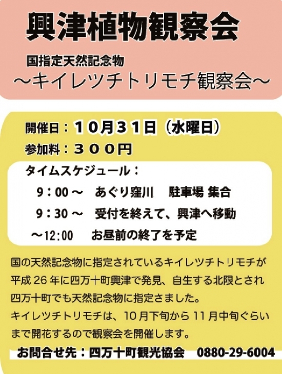 181031 興津植物観察会.jpg