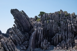 turbidite.jpg
